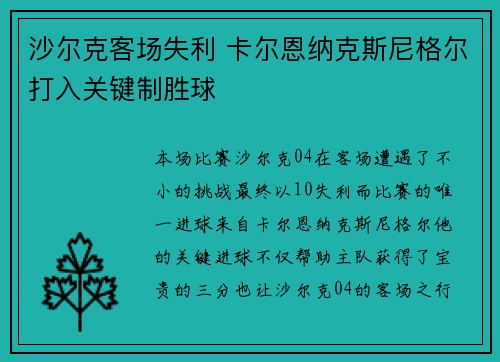 沙尔克客场失利 卡尔恩纳克斯尼格尔打入关键制胜球