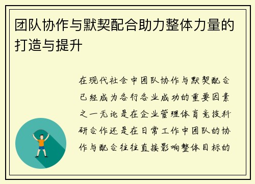 团队协作与默契配合助力整体力量的打造与提升