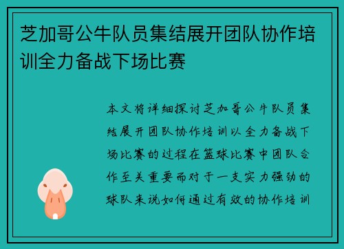 芝加哥公牛队员集结展开团队协作培训全力备战下场比赛